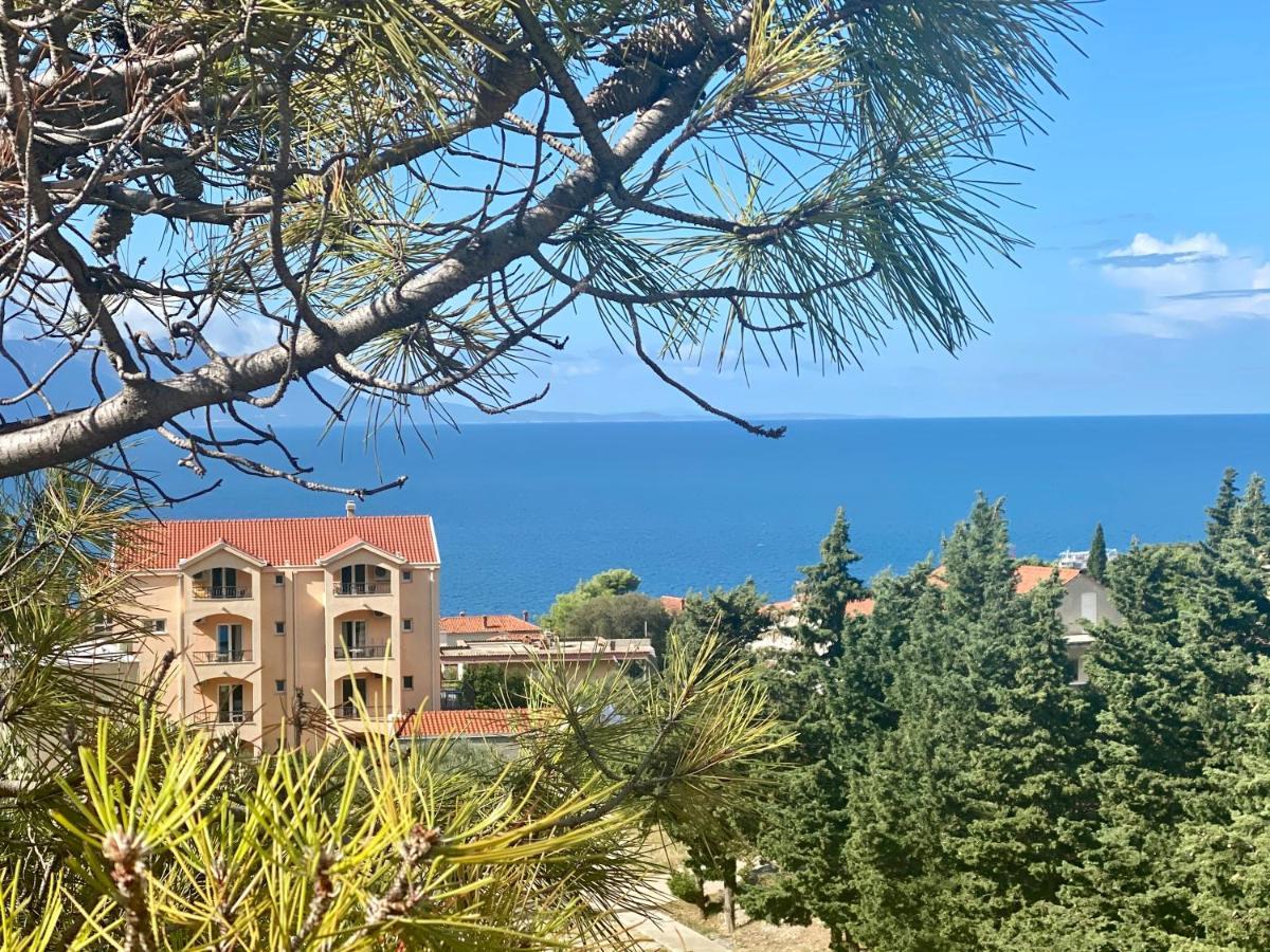 Apartments Grozdana Gradac (Split-Dalmatia) Exterior foto
